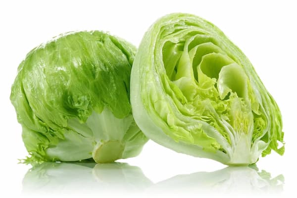 تصویر 5 از خرید جدیدترین انواع کاهو پیچ کوچک